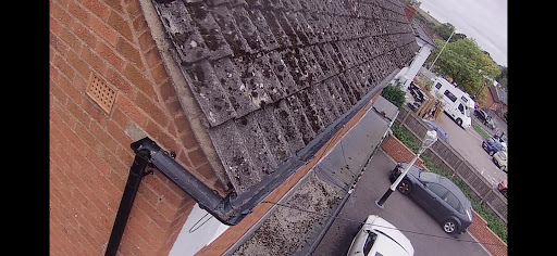 Photo from customer review